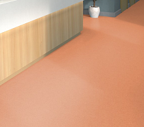 Tarkett iq Melodia 2635 фото 2 | FLOORDEALER